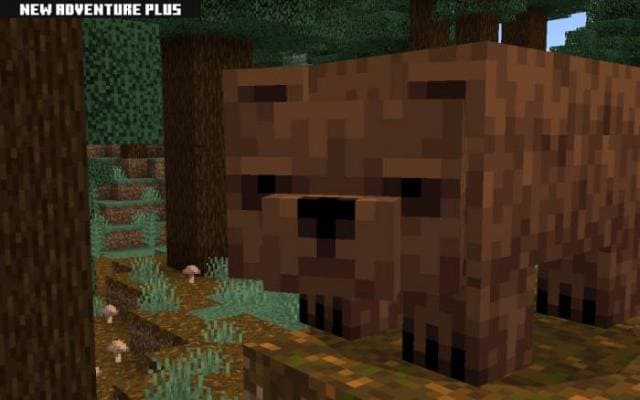 Медведь тайги