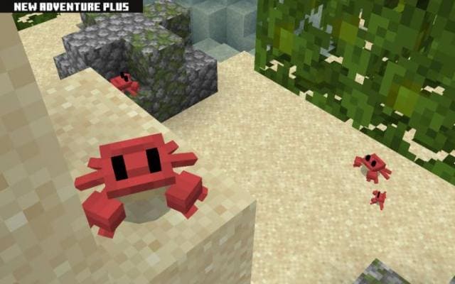 Крабы на пляже