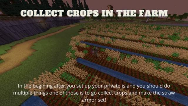 Фермерские поля