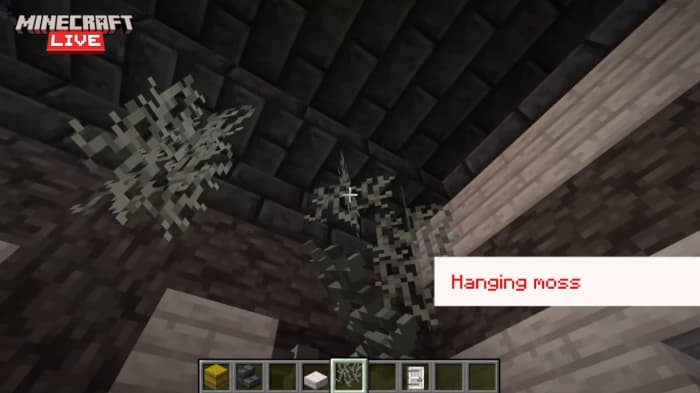 Блоки свисающего моха