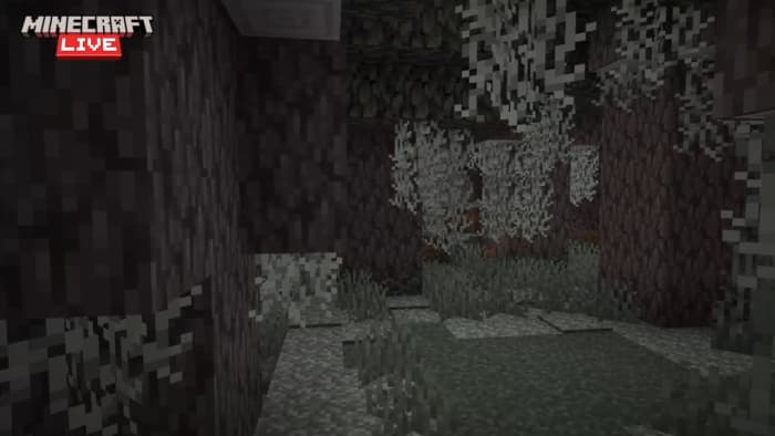 Бледные деревья в саду