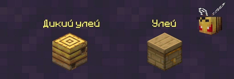 Дикий и обычный улей для пчел