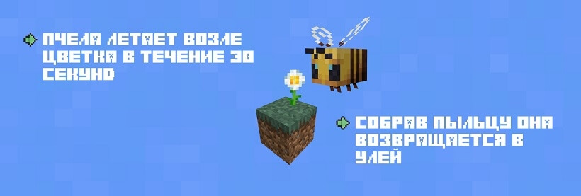 Пчела собирает пыльцу с цветка