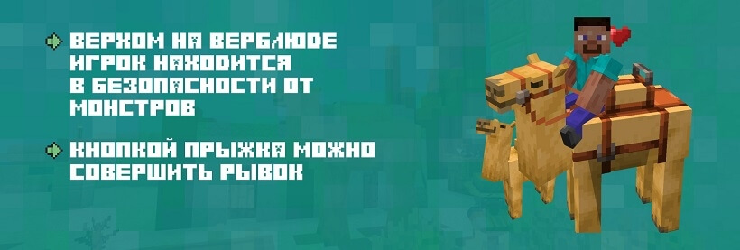 Описание прирученного верблюда