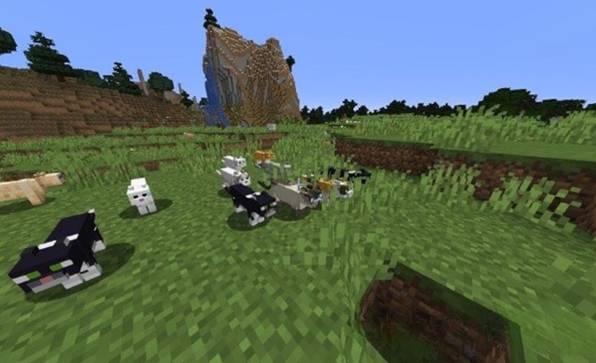 Как приручать животных в Майнкрафт
