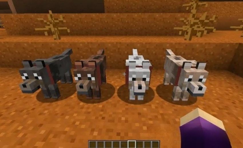 Как приручать животных в Майнкрафт