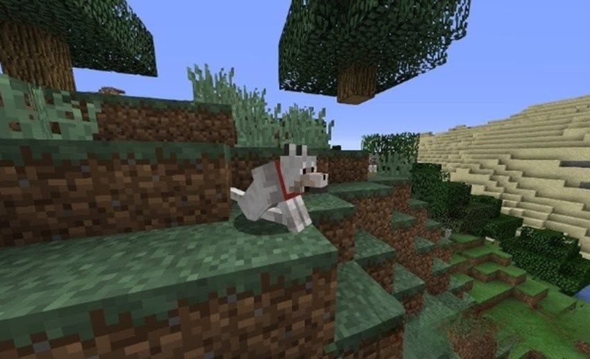 Как приручать животных в Майнкрафт