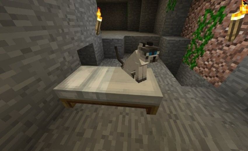 Как приручать животных в Майнкрафт