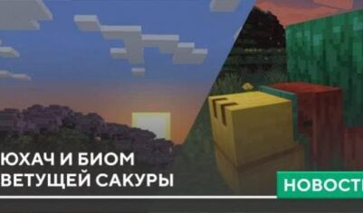 Нюхач и биом Цветущей Сакуры