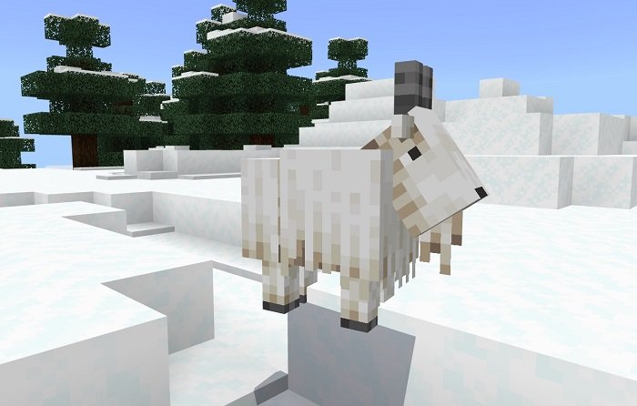 Сид Остров с горой