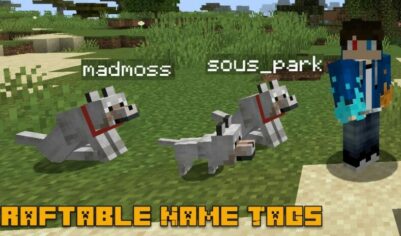 Мод Craftable Name Tags