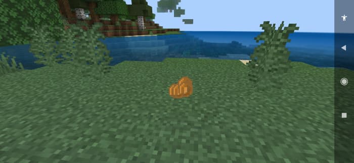 Мод: Личная колония