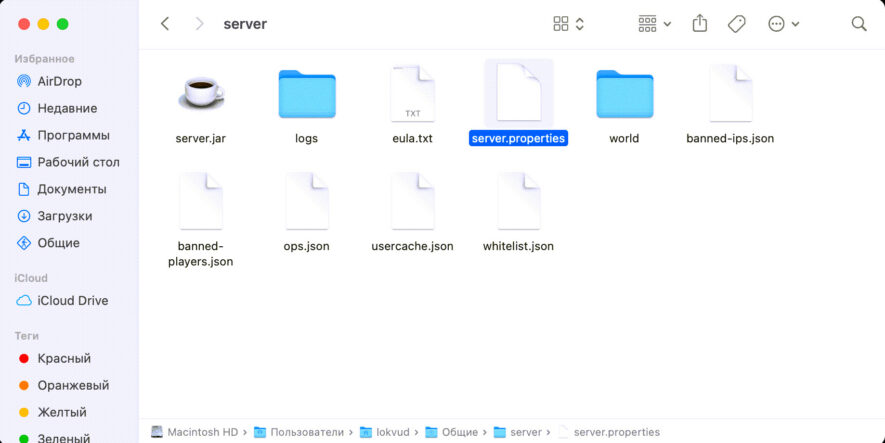 Как создать сервер в Майнкрафт 1.16.5