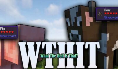 Мод Hwyla (WTHIT) [Forge][NeoForge]