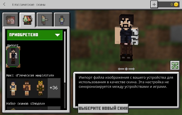 Установка скинов в Minecraft